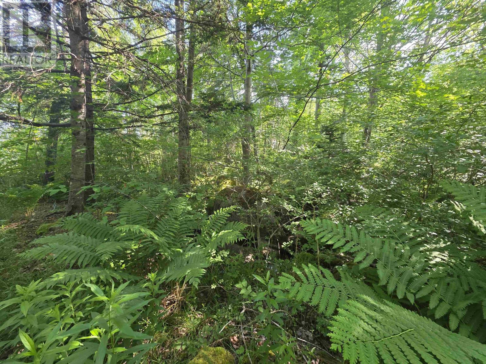 Lot A Highway 1, Upper Clements, Nova Scotia  B0S 1A0 - Photo 9 - 202516097