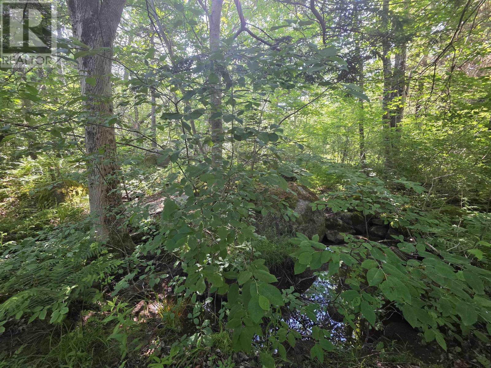 Lot A Highway 1, Upper Clements, Nova Scotia  B0S 1A0 - Photo 7 - 202516097