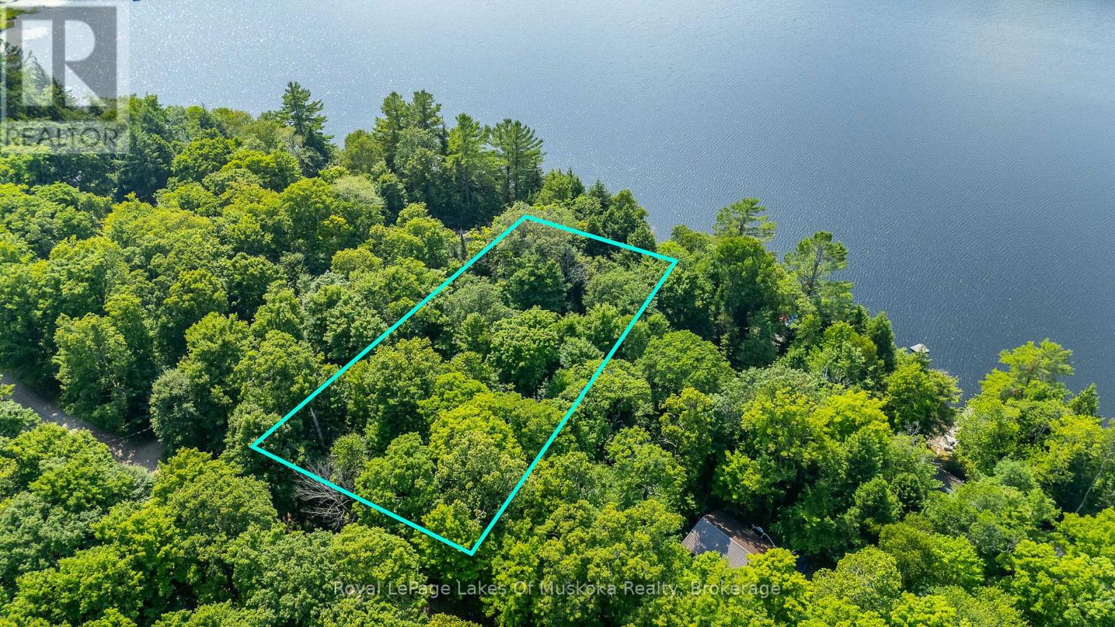 0 Bird Lake Road, Bracebridge, Ontario  P1L 1X1 - Photo 2 - X12103787