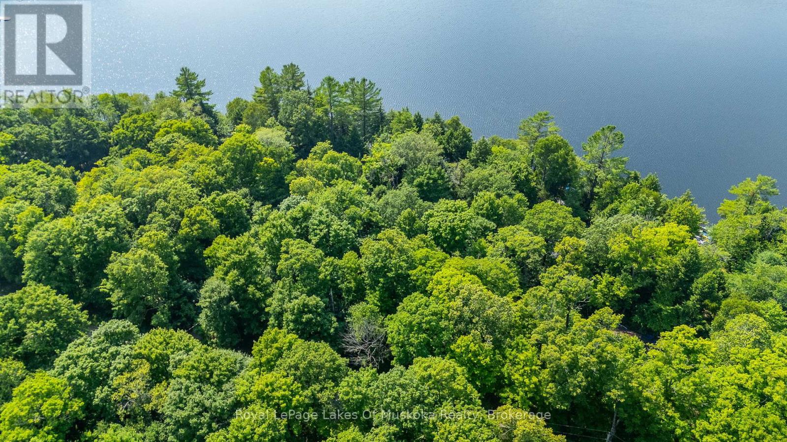 0 Bird Lake Road, Bracebridge, Ontario  P1L 1X1 - Photo 6 - X12103787