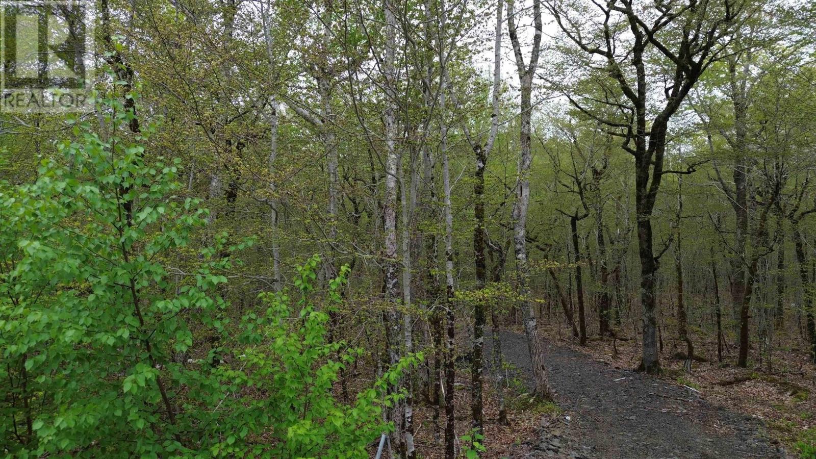 Lot 46 Turner Point Road, Walden, Nova Scotia