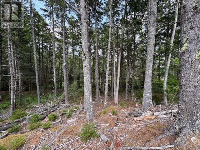 Lot 25 Beaver Dam Trail, Labelle, Nova Scotia  B0T 1E0 - Photo 17 - 202519898