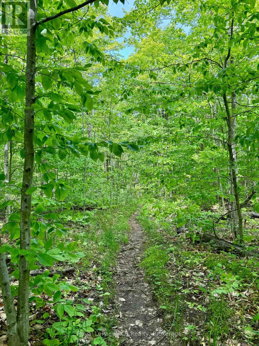 16 Morning Hill Road, South Bruce Peninsula, Ontario N0H 2T0 - Photo 24 - X12248696