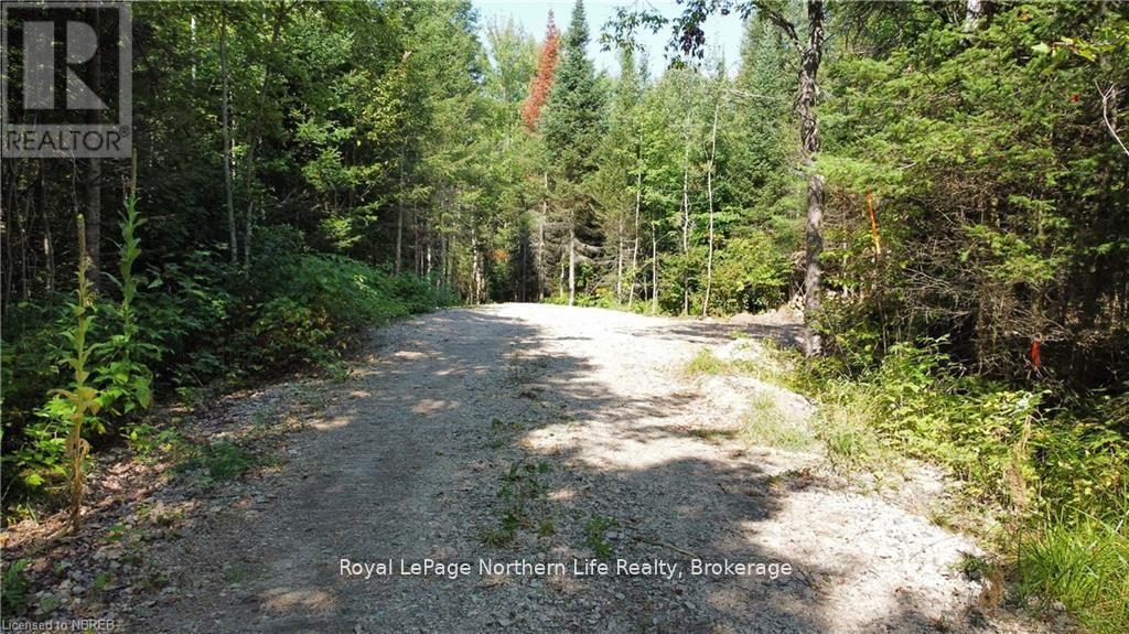 1945 Alsace Road, Nipissing, Ontario  P0H 1Z0 - Photo 13 - X12329787