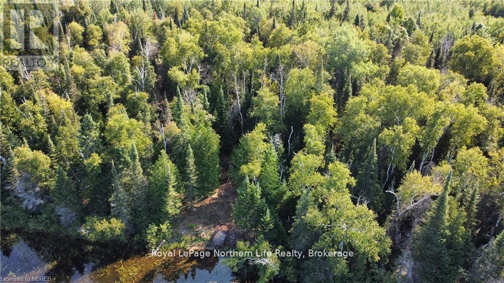 1945 Alsace Road, Nipissing, Ontario  P0H 1Z0 - Photo 14 - X12329787