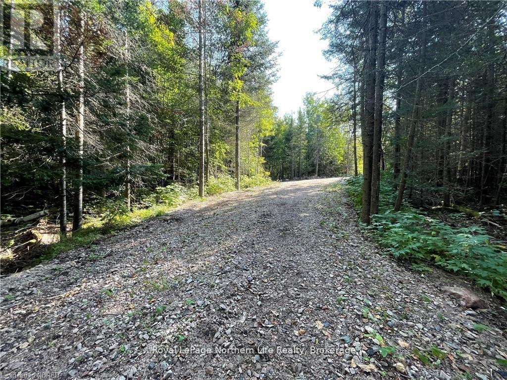 1945 Alsace Road, Nipissing, Ontario  P0H 1Z0 - Photo 21 - X12329787