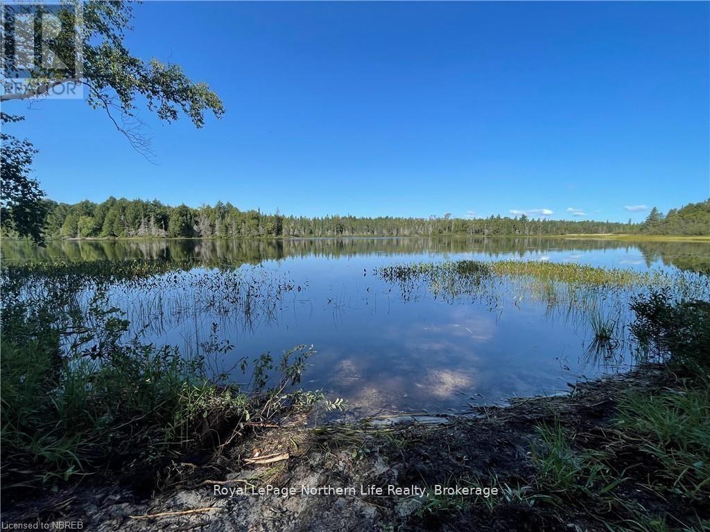 1945 Alsace Road, Nipissing, Ontario  P0H 1Z0 - Photo 22 - X12329787