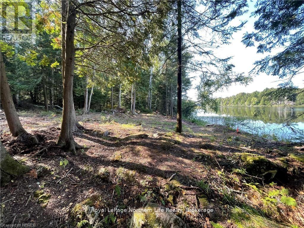 1945 Alsace Road, Nipissing, Ontario  P0H 1Z0 - Photo 3 - X12329787