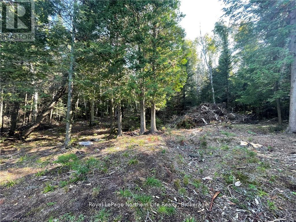 1945 Alsace Road, Nipissing, Ontario  P0H 1Z0 - Photo 4 - X12329787