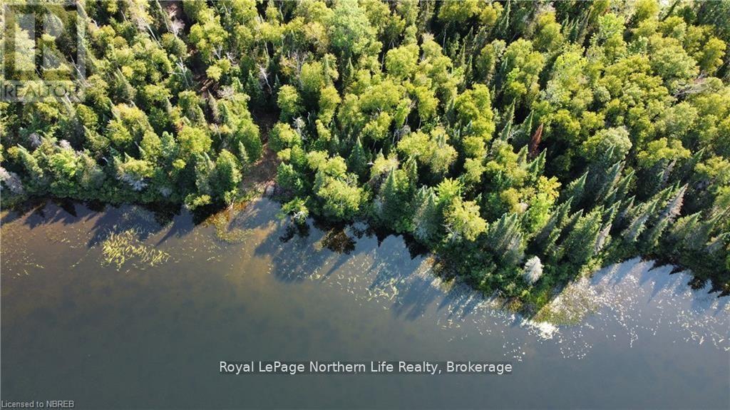 1945 Alsace Road, Nipissing, Ontario  P0H 1Z0 - Photo 6 - X12329787