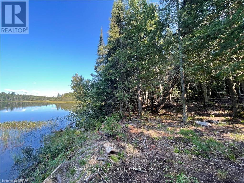 1945 Alsace Road, Nipissing, Ontario  P0H 1Z0 - Photo 7 - X12329787