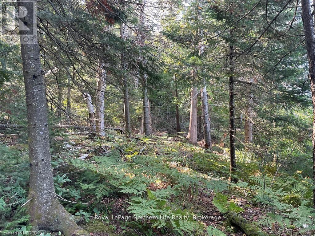 1945 Alsace Road, Nipissing, Ontario  P0H 1Z0 - Photo 9 - X12329787