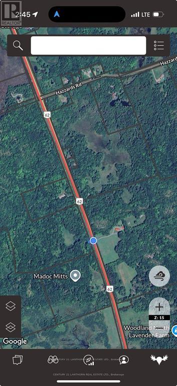 00 Hwy 62 N, Madoc, Ontario  K0K 2K0 - Photo 3 - X12329758
