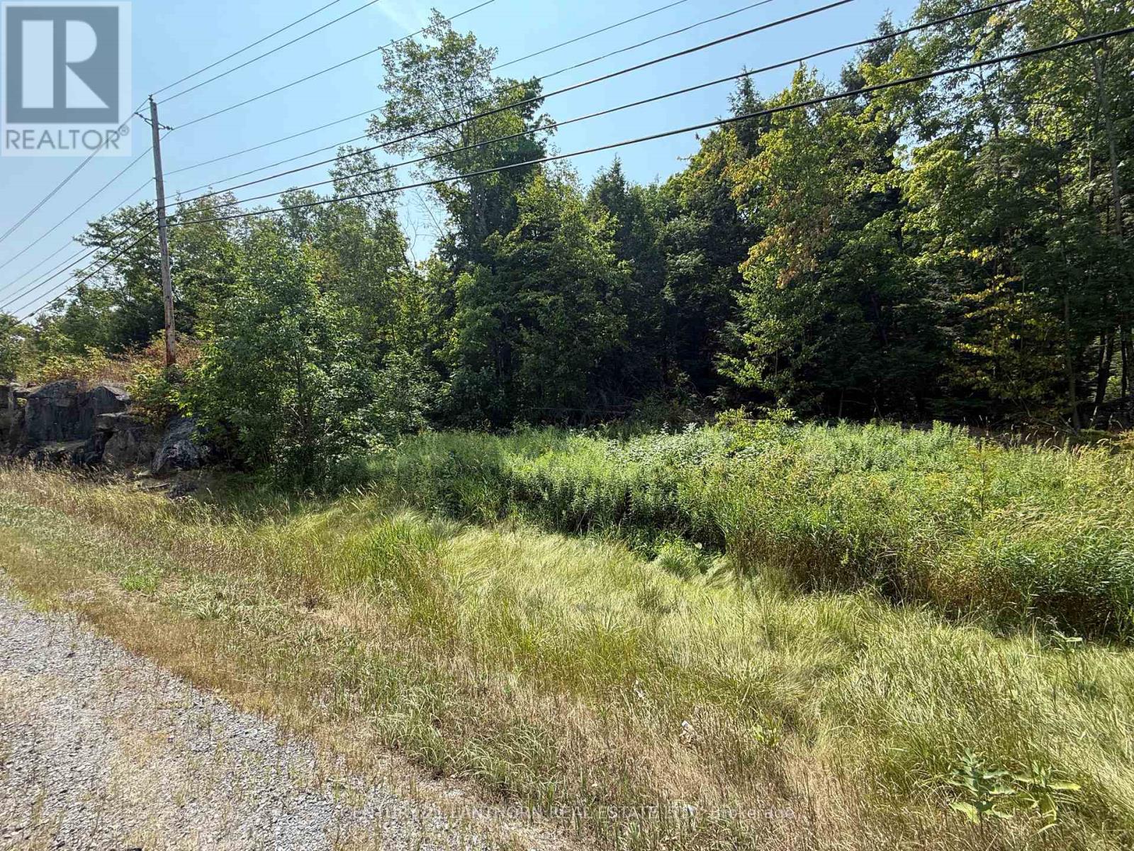 00 Hwy 62 N, Madoc, Ontario  K0K 2K0 - Photo 4 - X12329758
