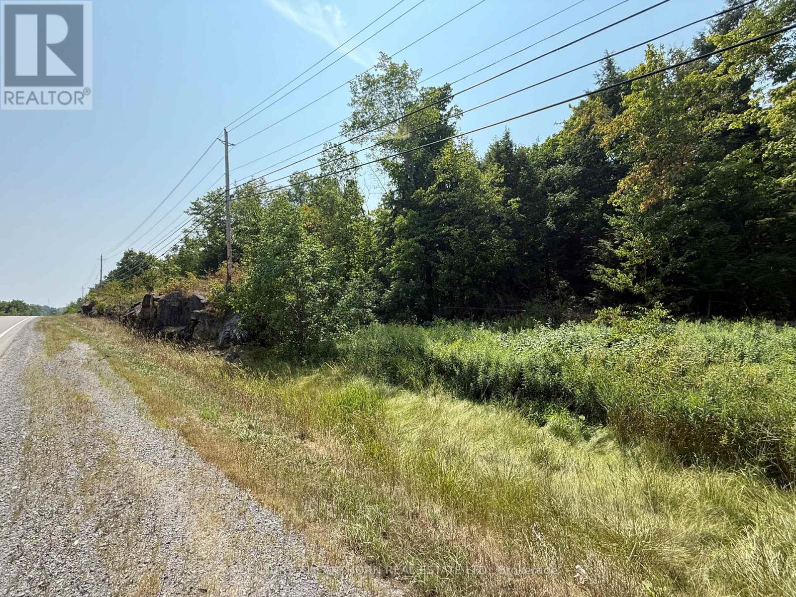 00 Hwy 62 N, Madoc, Ontario  K0K 2K0 - Photo 5 - X12329758