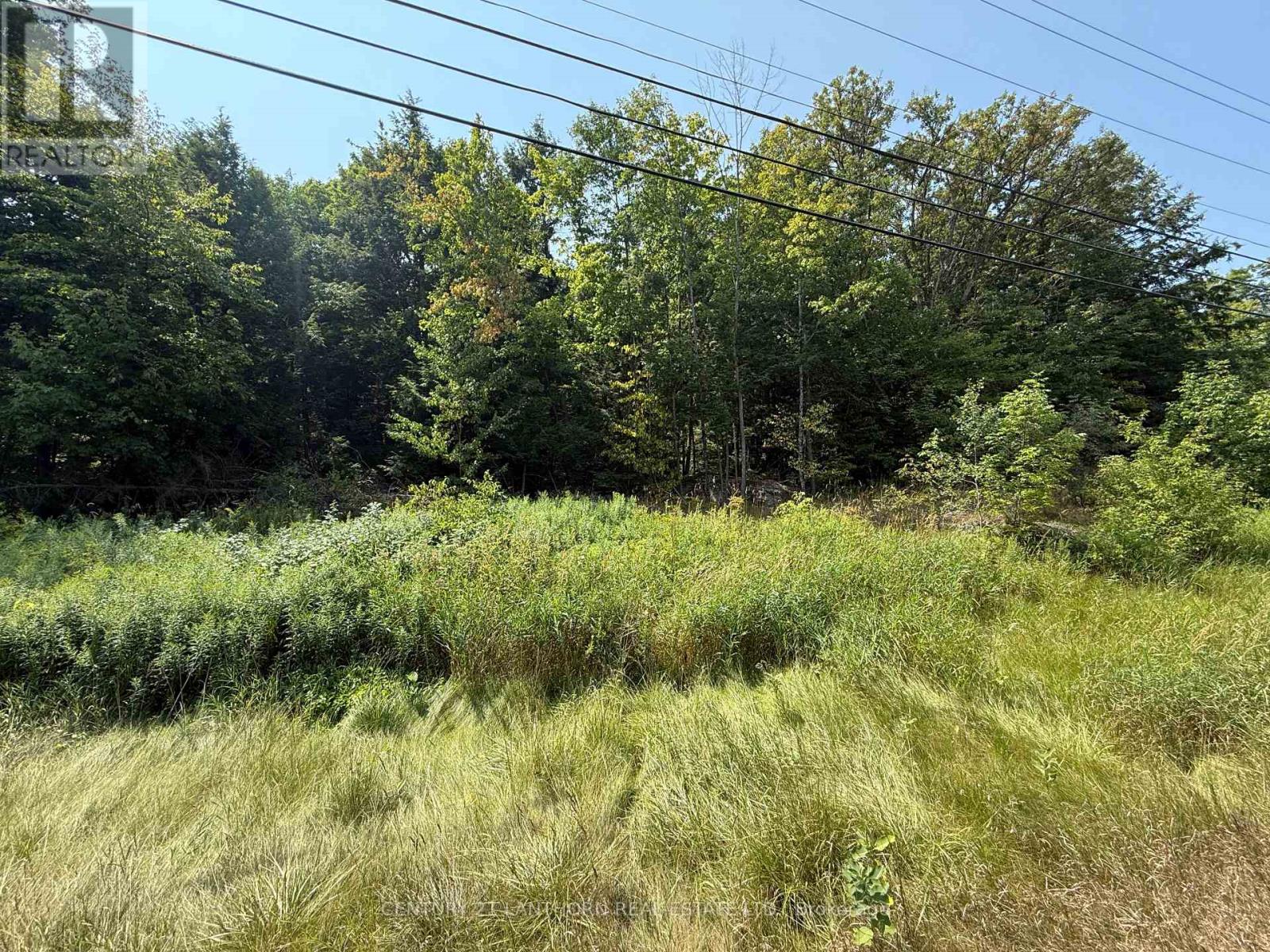 00 Hwy 62 N, Madoc, Ontario  K0K 2K0 - Photo 6 - X12329758