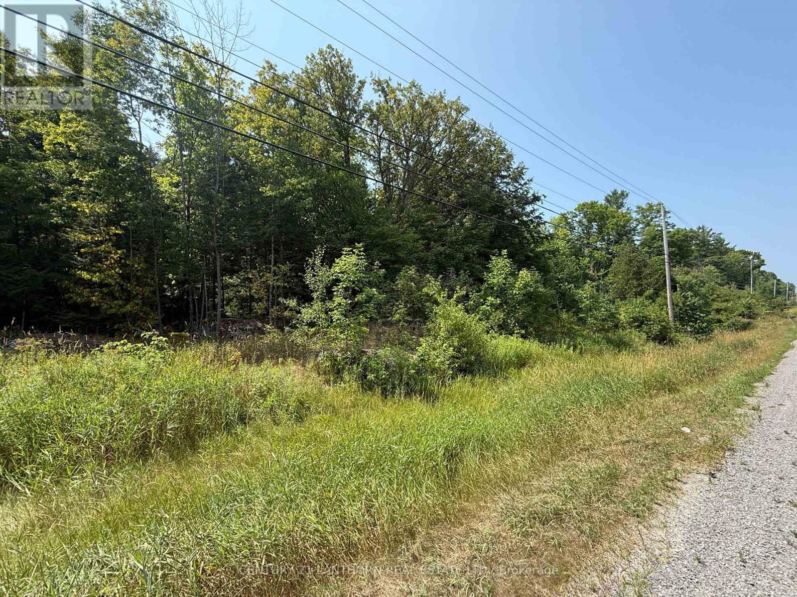 00 Hwy 62 N, Madoc, Ontario  K0K 2K0 - Photo 7 - X12329758