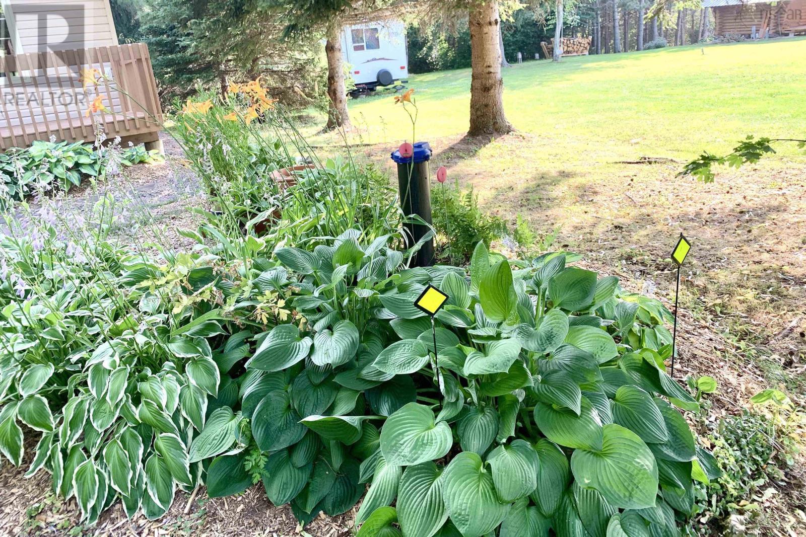 24 Mitchell Island Loop, Linden, Nova Scotia  B0K 1K0 - Photo 42 - 202519345