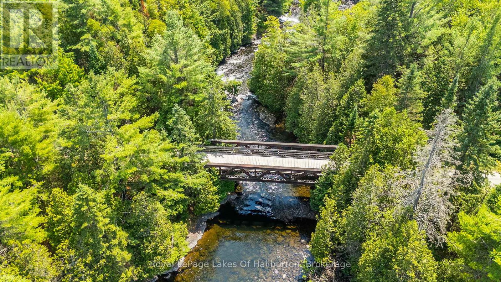 1030 Sawdust Road, Minden Hills, Ontario  K0M 2K0 - Photo 37 - X12329903