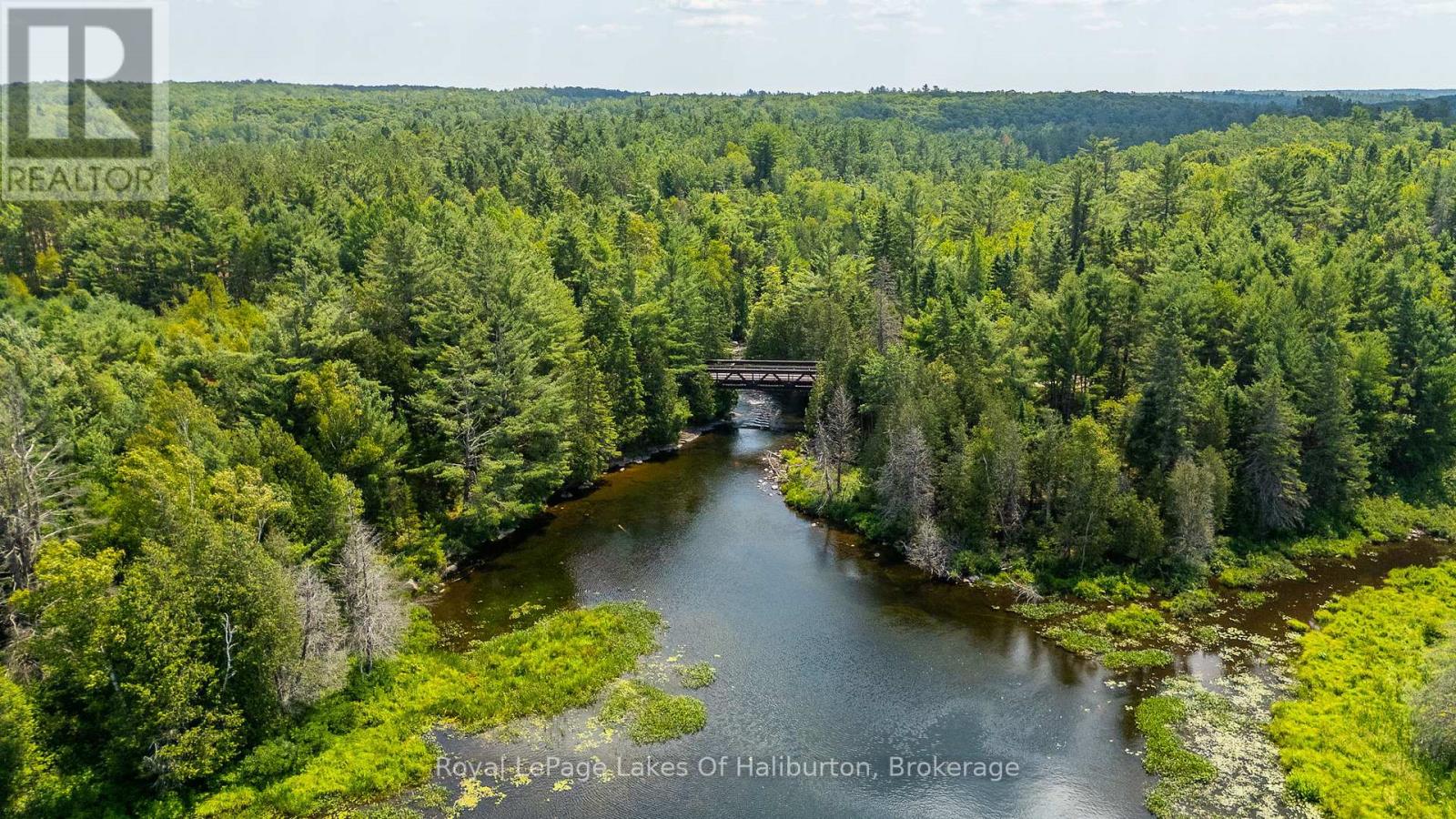 1030 Sawdust Road, Minden Hills, Ontario  K0M 2K0 - Photo 38 - X12329903