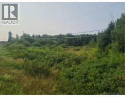 3.7 Acres Route 180, south tetagouche, New Brunswick