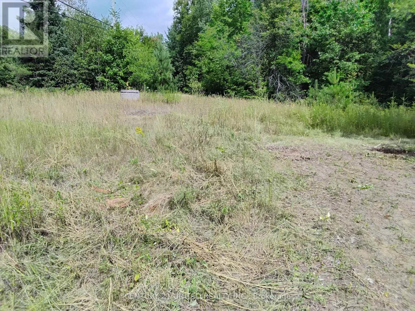 2039 County Road 620, North Kawartha, Ontario  K0L 1A0 - Photo 24 - X12307753