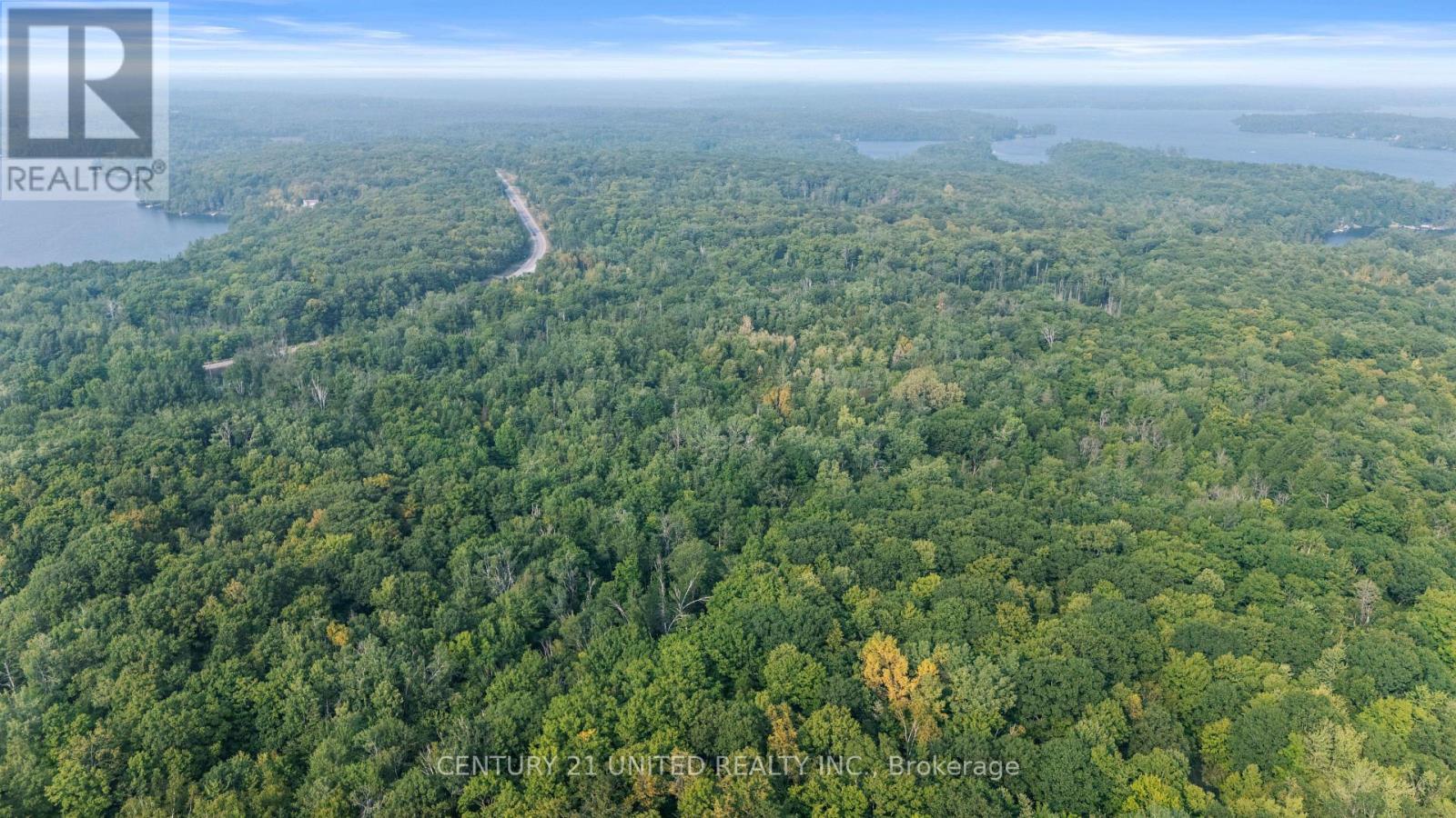 2039 County Road 620, North Kawartha, Ontario  K0L 1A0 - Photo 5 - X12307753