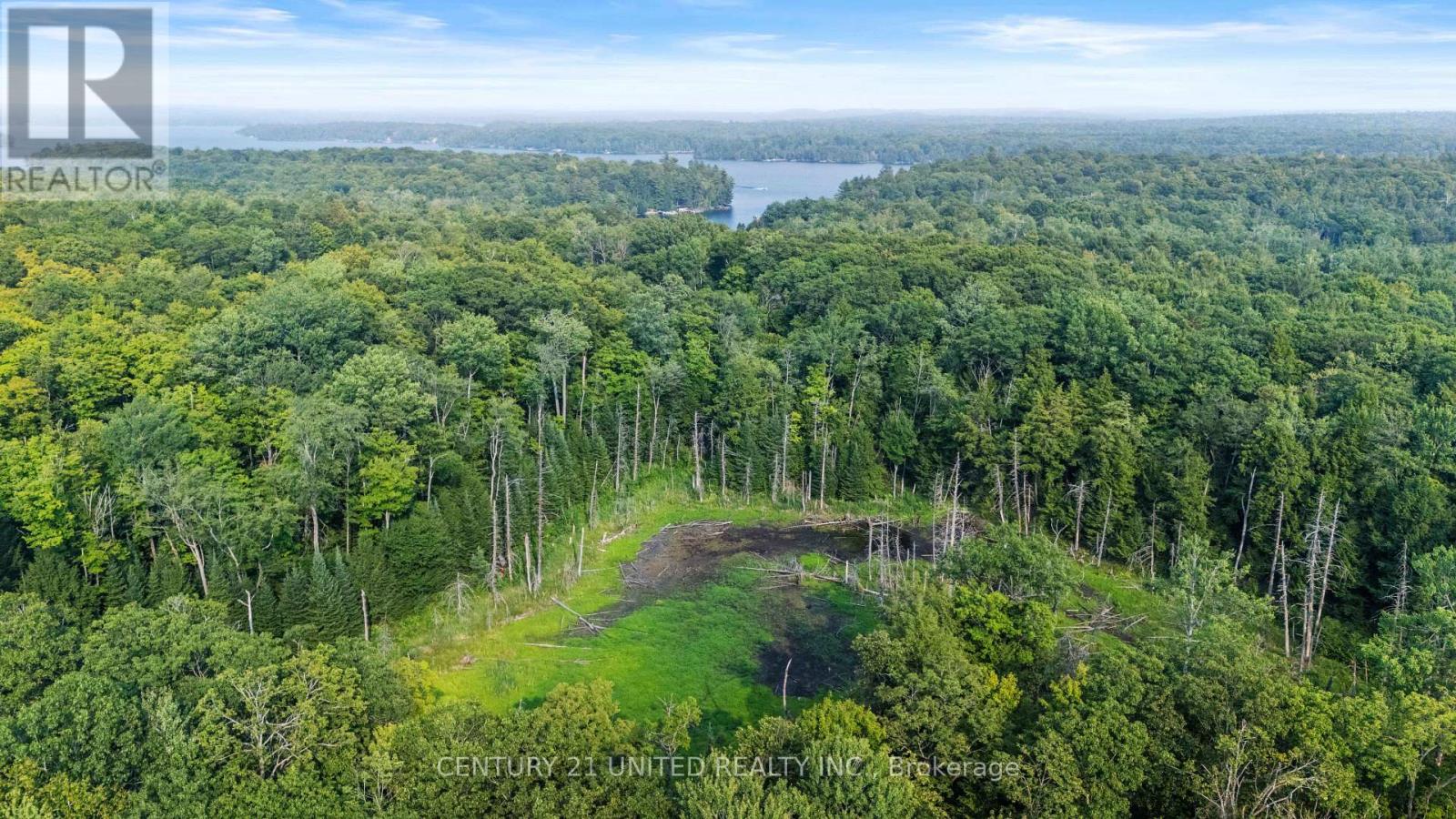 2039 County Road 620, North Kawartha, Ontario  K0L 1A0 - Photo 8 - X12307753