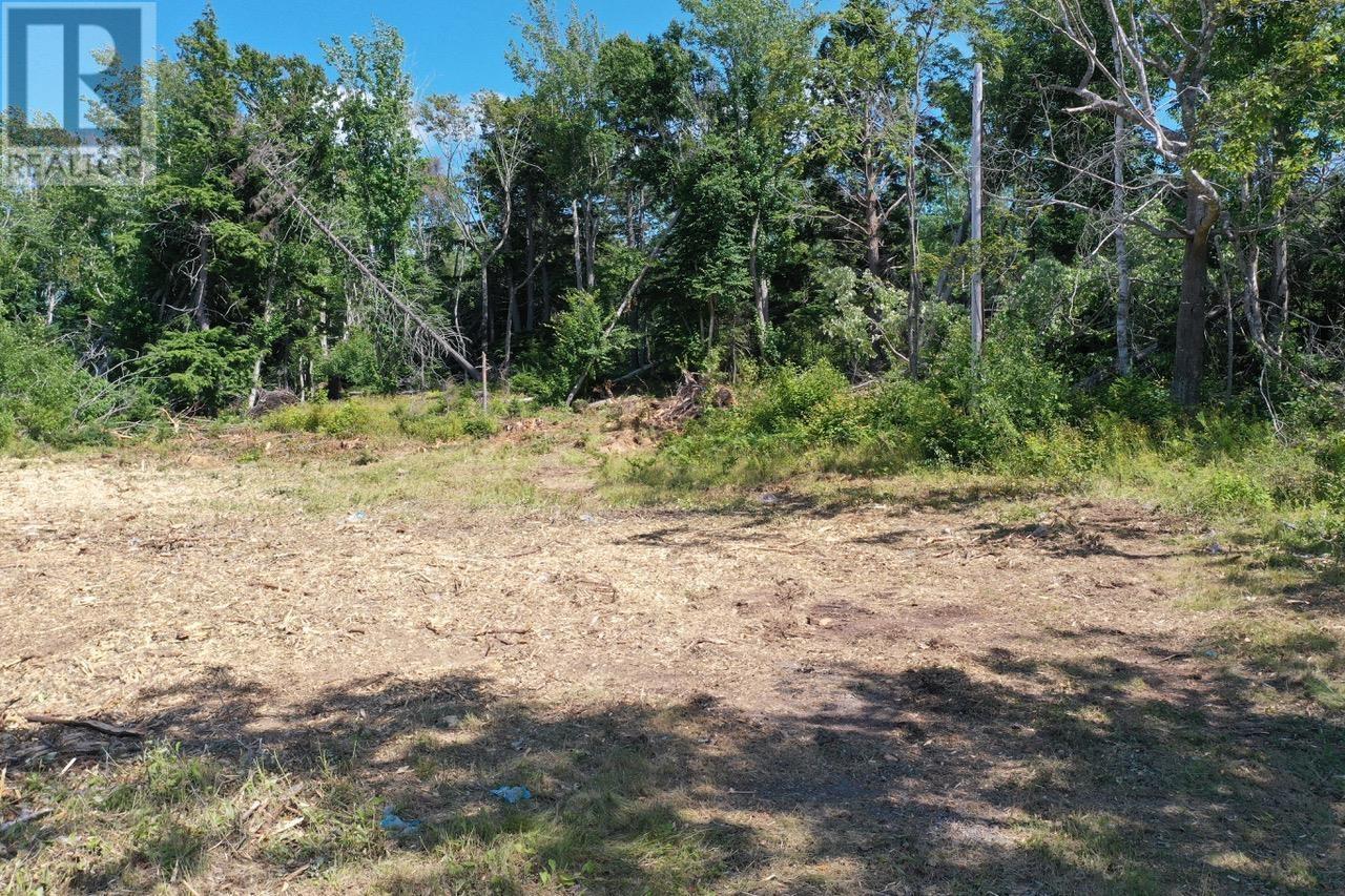 4488 Little Harbour Road, Little Harbour, Nova Scotia  B2H 5C4 - Photo 12 - 202516951