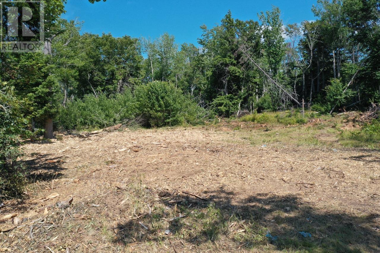 4488 Little Harbour Road, Little Harbour, Nova Scotia  B2H 5C4 - Photo 11 - 202516951