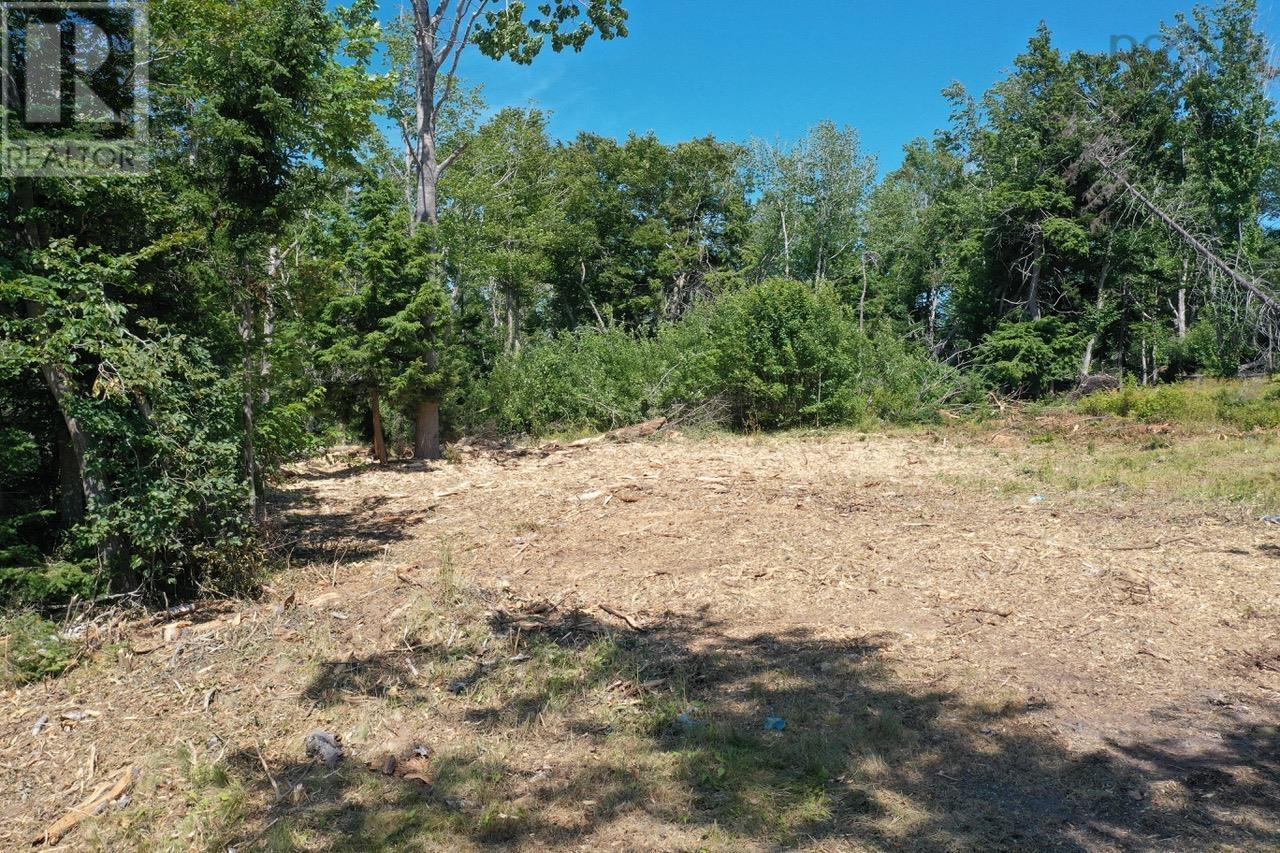 4488 Little Harbour Road, Little Harbour, Nova Scotia  B2H 5C4 - Photo 15 - 202516951