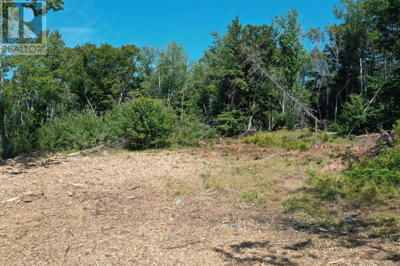 4488 Little Harbour Road, Little Harbour, Nova Scotia  B2H 5C4 - Photo 18 - 202516951