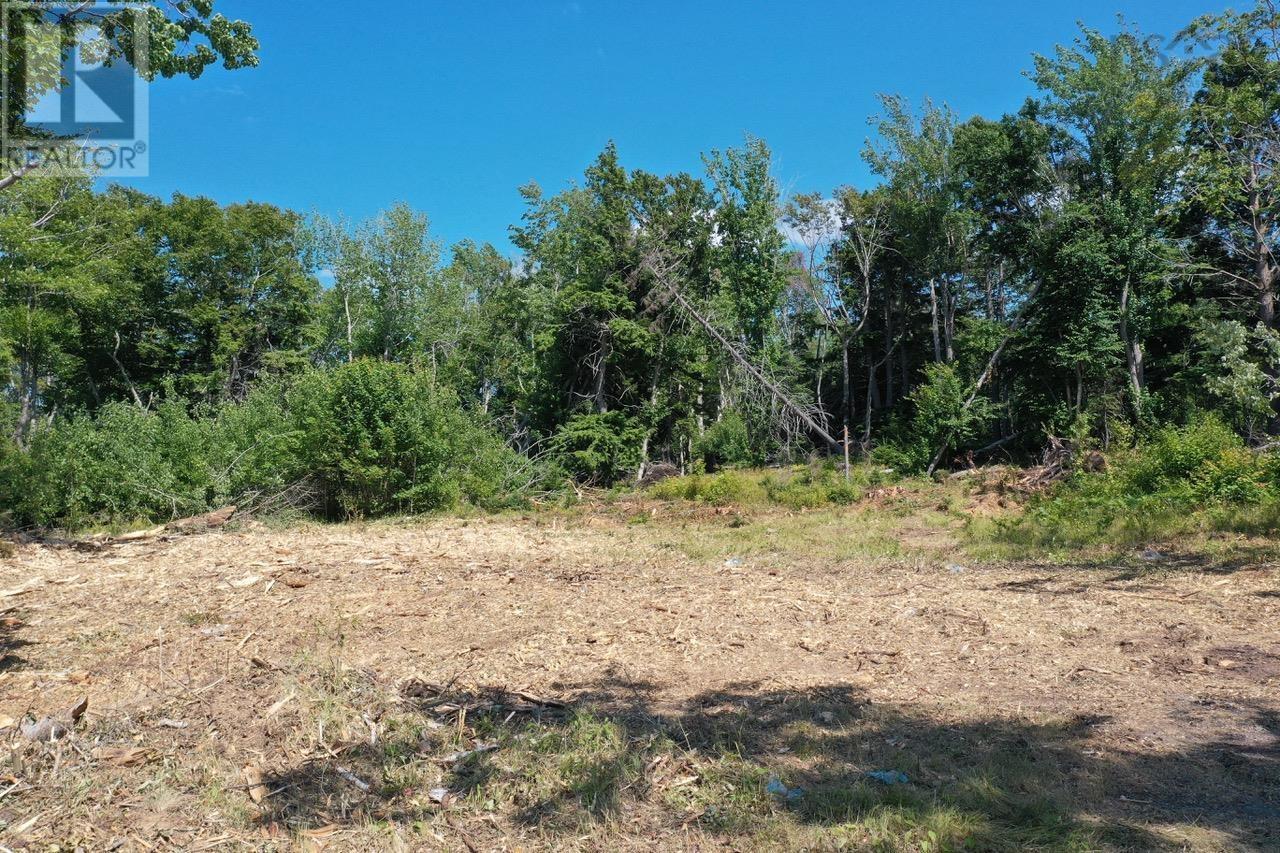 4488 Little Harbour Road, Little Harbour, Nova Scotia  B2H 5C4 - Photo 13 - 202516951