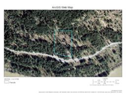 3099 LOUGHEED HIGHWAY|Mt Woodside