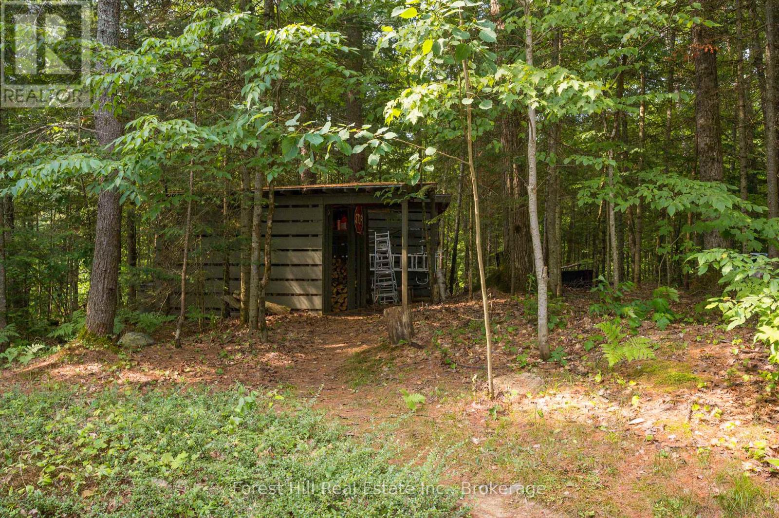 1224 Moot Lake Road S, Lake Of Bays, Ontario  P0B 0A3 - Photo 40 - X12330135
