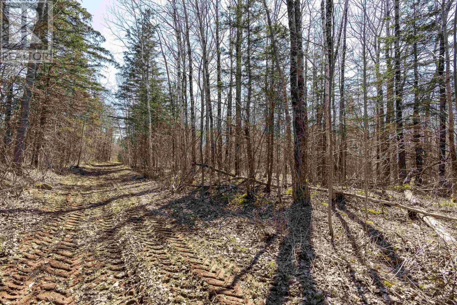 Lot 2 Seaman Street, East Margaretsville, Nova Scotia  B0S 1N0 - Photo 3 - 202509138