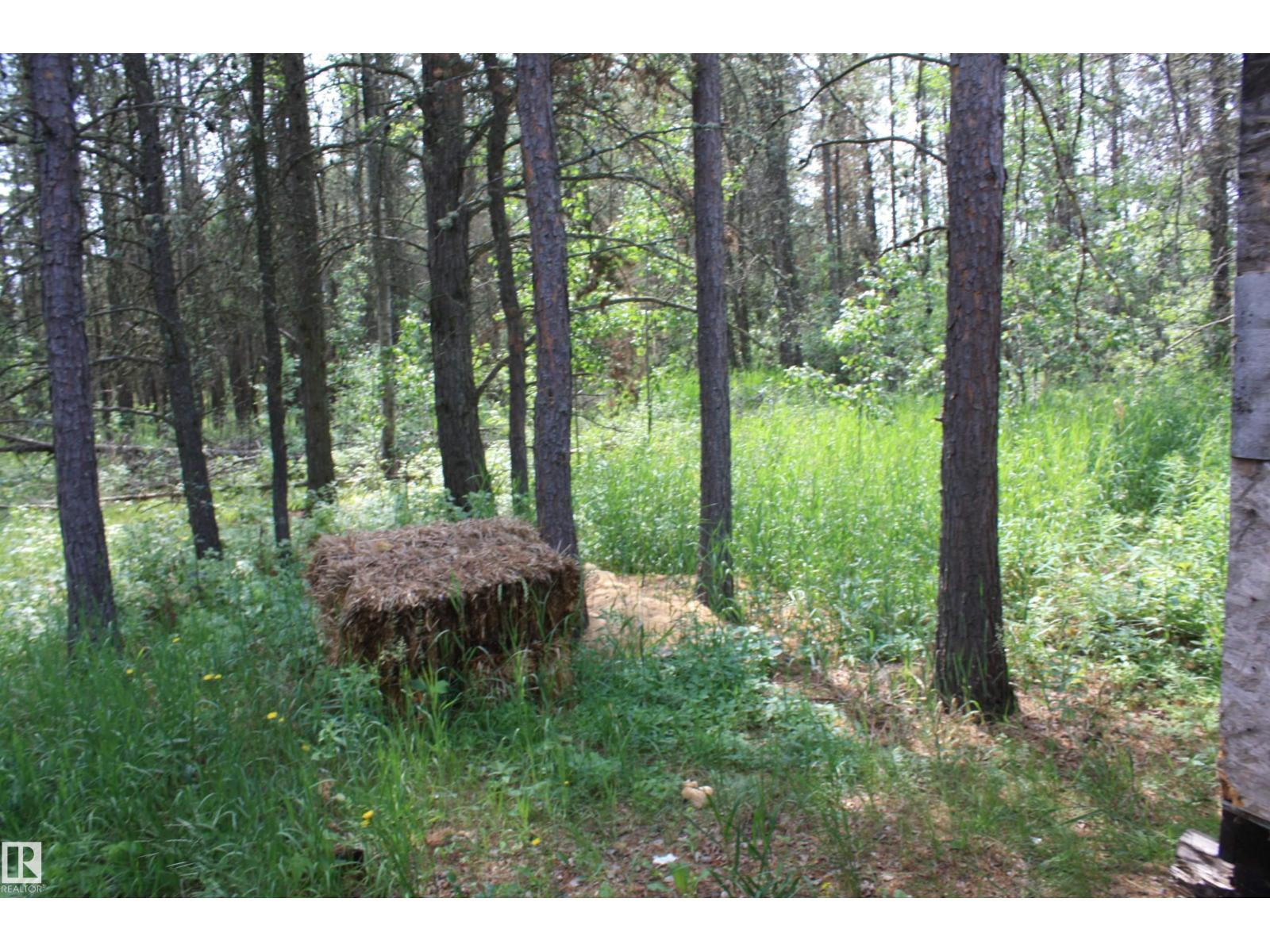 14044 Hiway 28, Rural Smoky Lake County, Alberta  T0A 3L0 - Photo 12 - E4451639