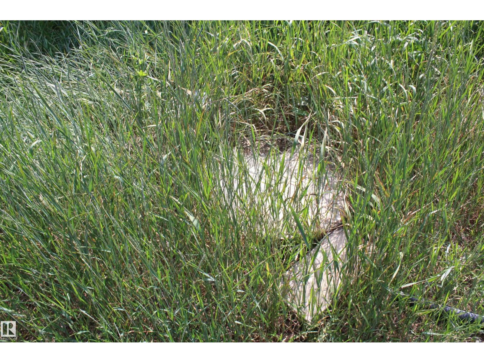 14044 Hiway 28, Rural Smoky Lake County, Alberta  T0A 3L0 - Photo 54 - E4451639