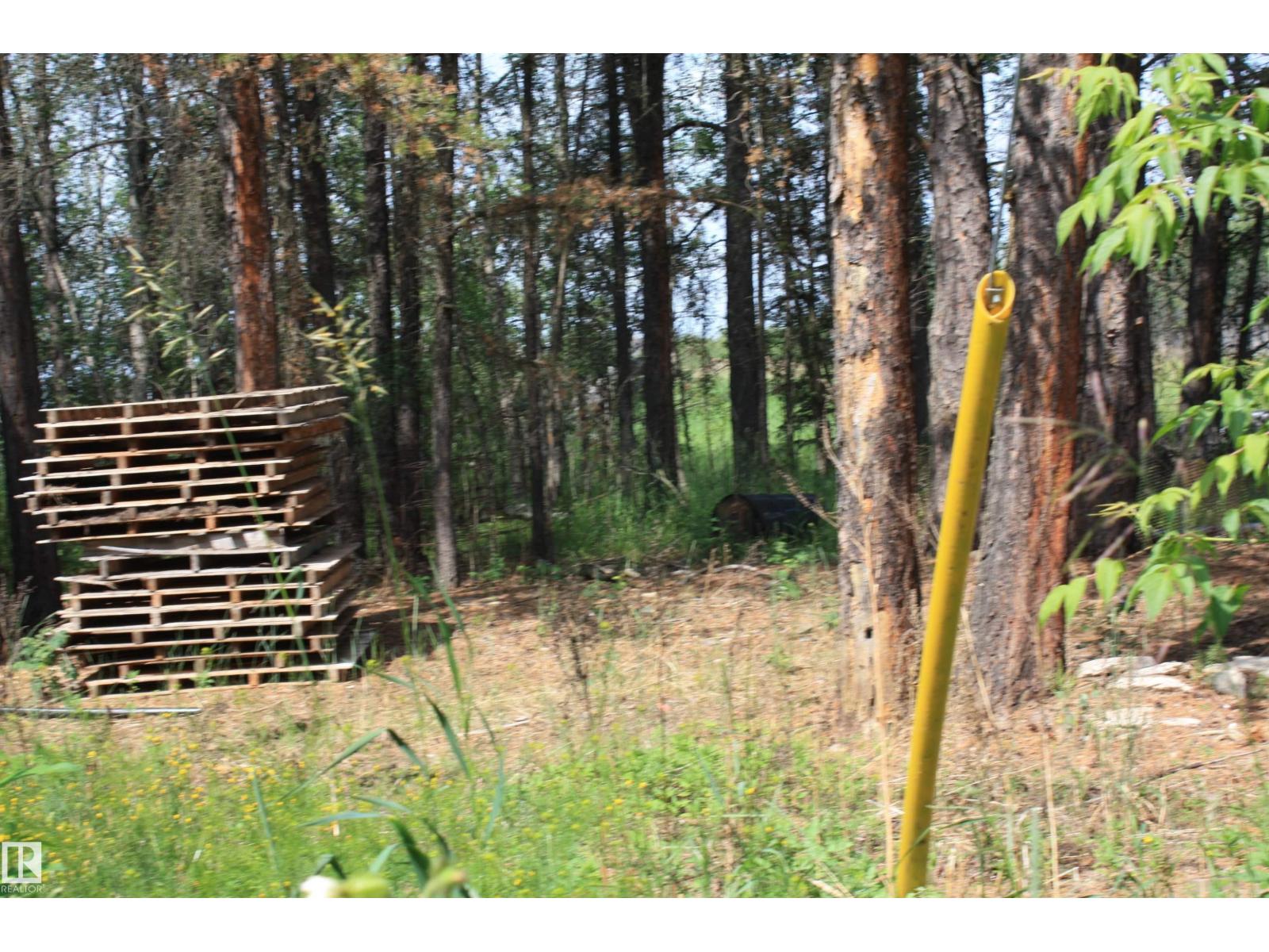 14044 Hiway 28, Rural Smoky Lake County, Alberta  T0A 3L0 - Photo 51 - E4451639