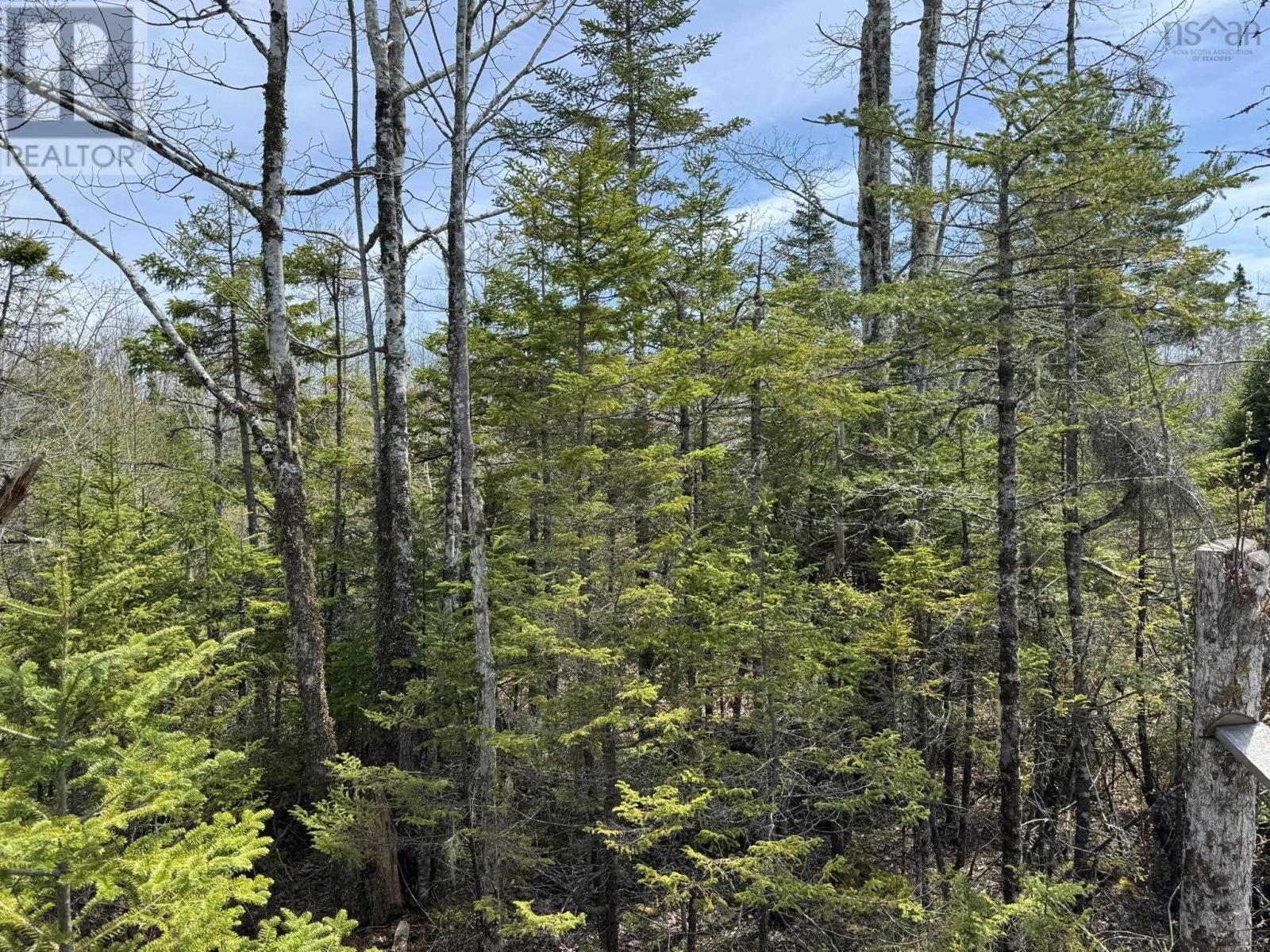 7714 Highway 3, Summerville Centre, Nova Scotia  B0T 1T0 - Photo 48 - 202510540