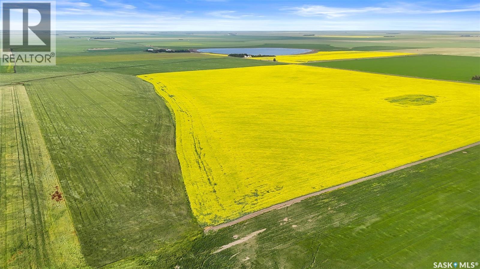 Regina Heavy Clay Quarter - Gray, Sk, Bratt's Lake Rm No. 129, Saskatchewan  S0G 2A0 - Photo 5 - SK014836