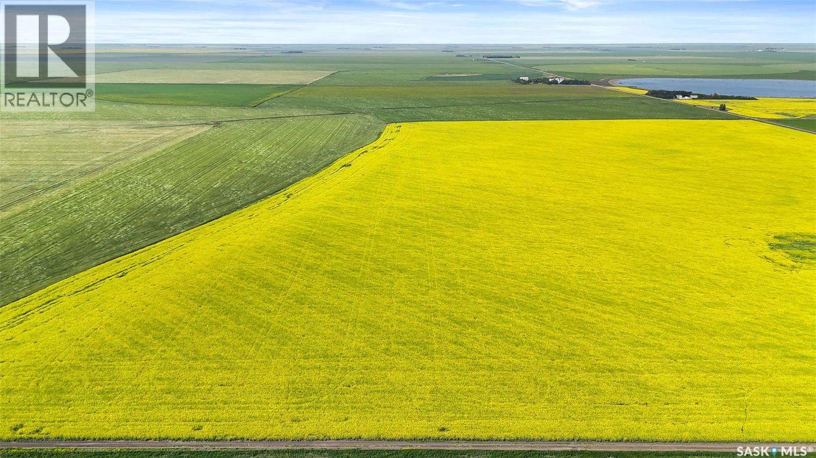 Regina Heavy Clay Quarter - Gray, Sk, Bratt's Lake Rm No. 129, Saskatchewan  S0G 2A0 - Photo 6 - SK014836