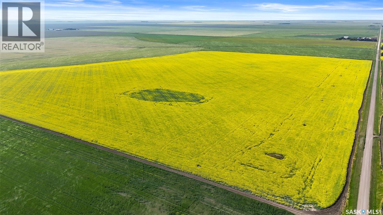 Regina Heavy Clay Quarter - Gray, Sk, Bratt's Lake Rm No. 129, Saskatchewan  S0G 2A0 - Photo 7 - SK014836