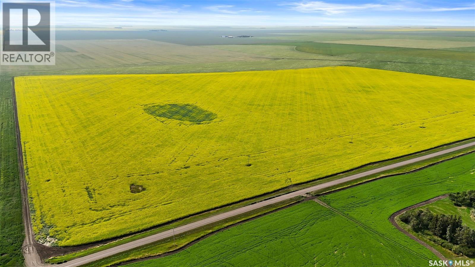 Regina Heavy Clay Quarter - Gray, Sk, Bratt's Lake Rm No. 129, Saskatchewan  S0G 2A0 - Photo 8 - SK014836