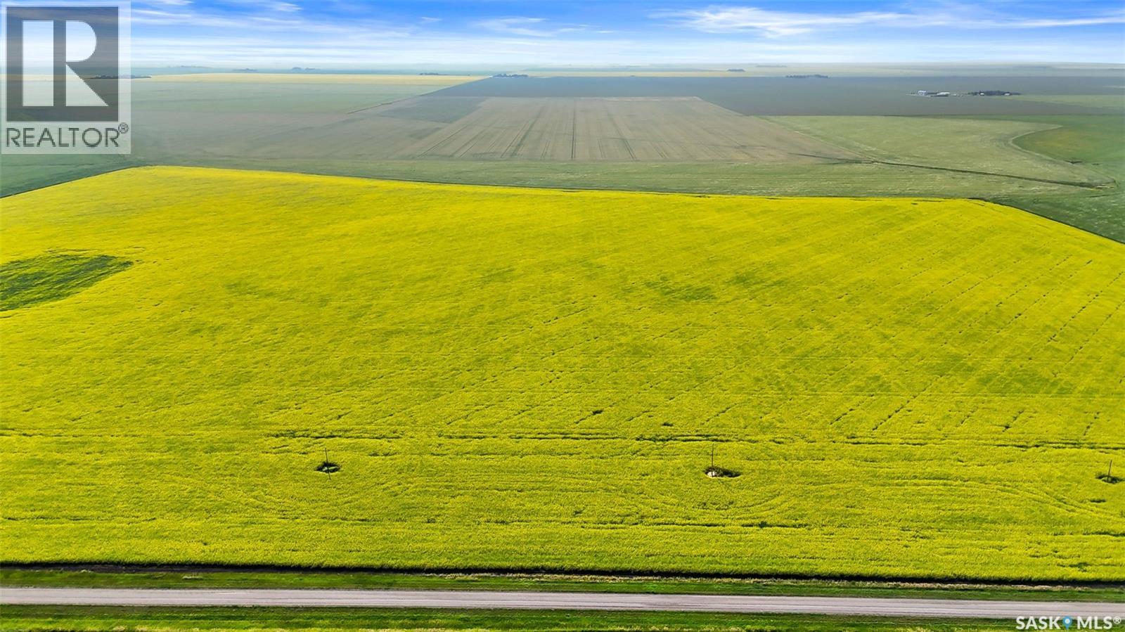 Regina Heavy Clay Quarter - Gray, Sk, Bratt's Lake Rm No. 129, Saskatchewan  S0G 2A0 - Photo 9 - SK014836