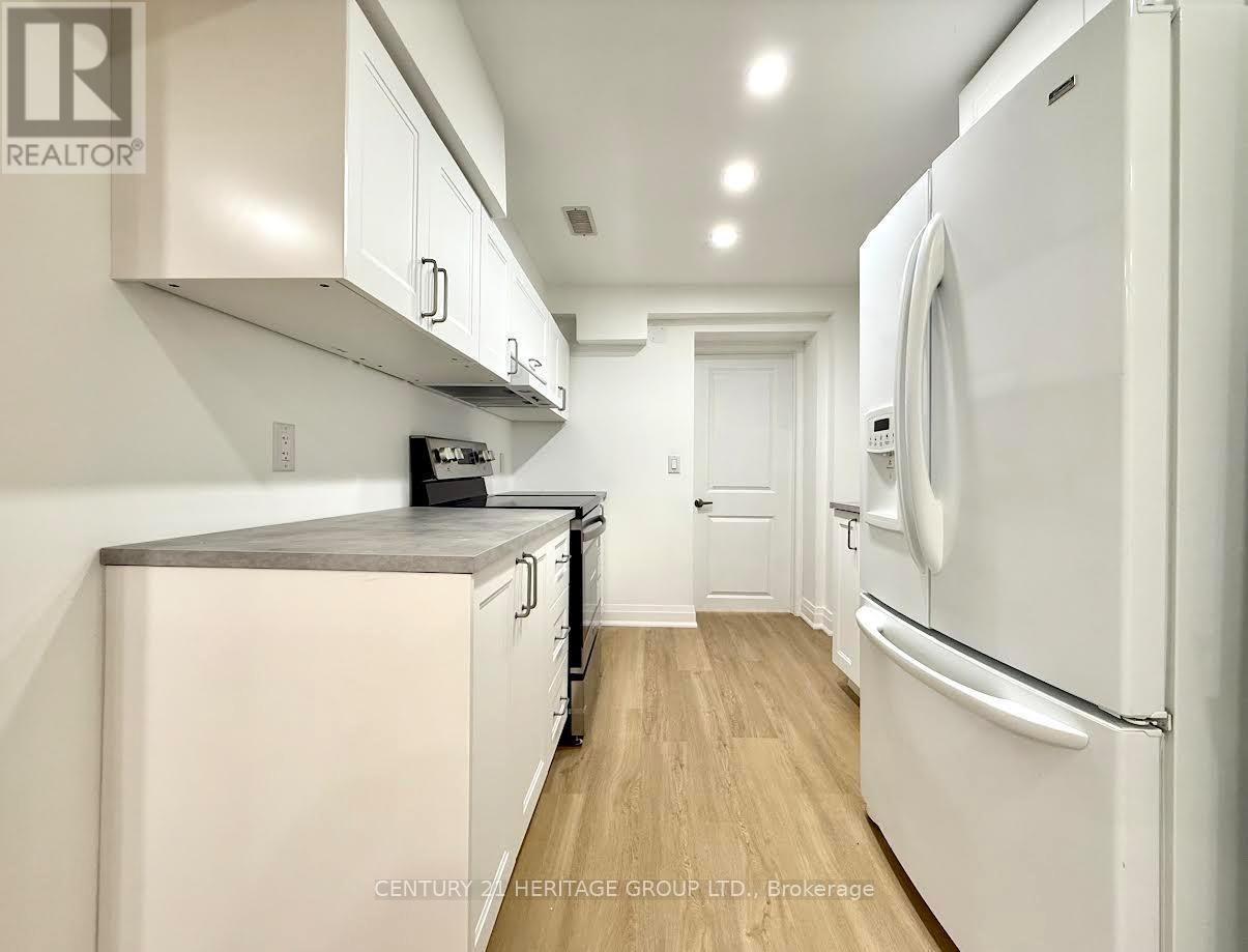 Bsmnt - 72 Laurier Avenue, Richmond Hill, Ontario  L4E 4P5 - Photo 3 - N12314116