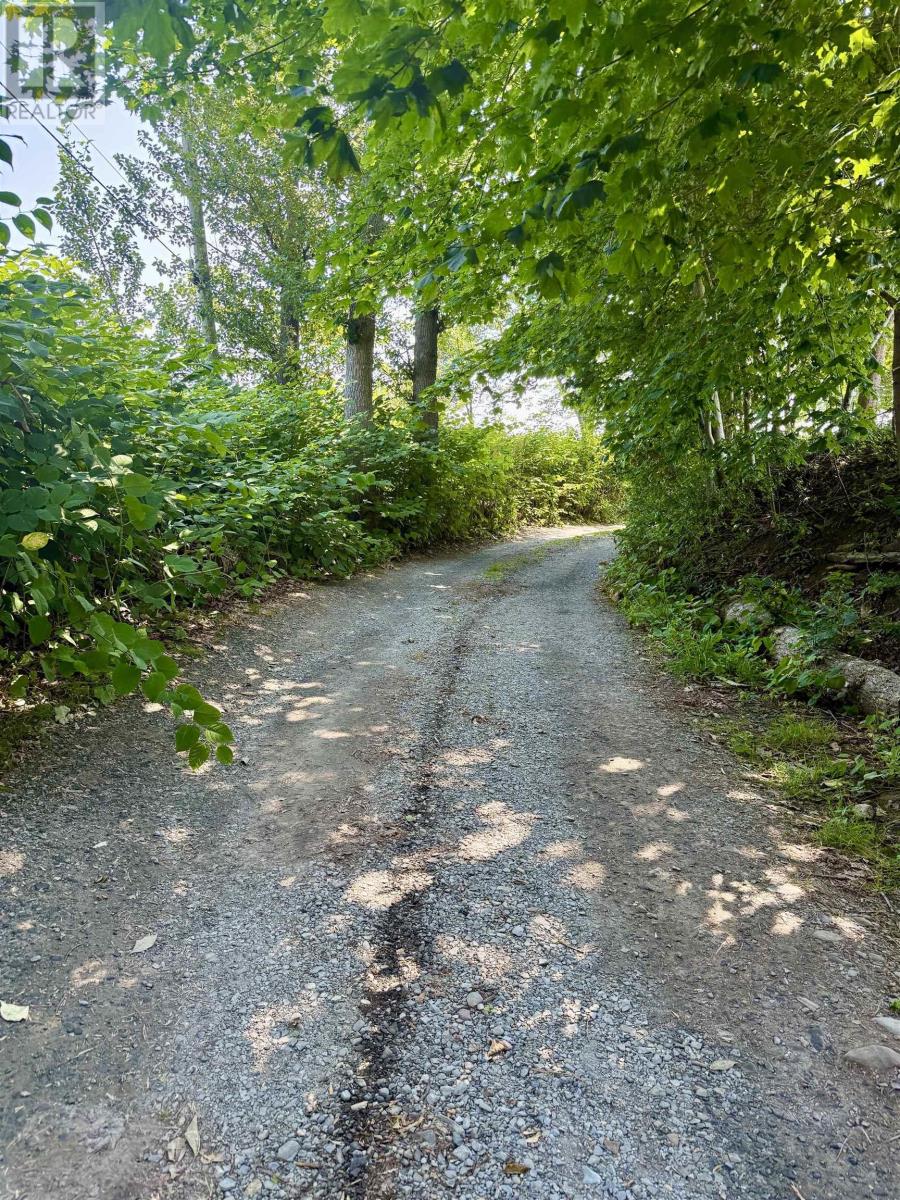 173 Drews Hill Road, Petite Rivière, Nova Scotia  B4V 5Z6 - Photo 45 - 202519658