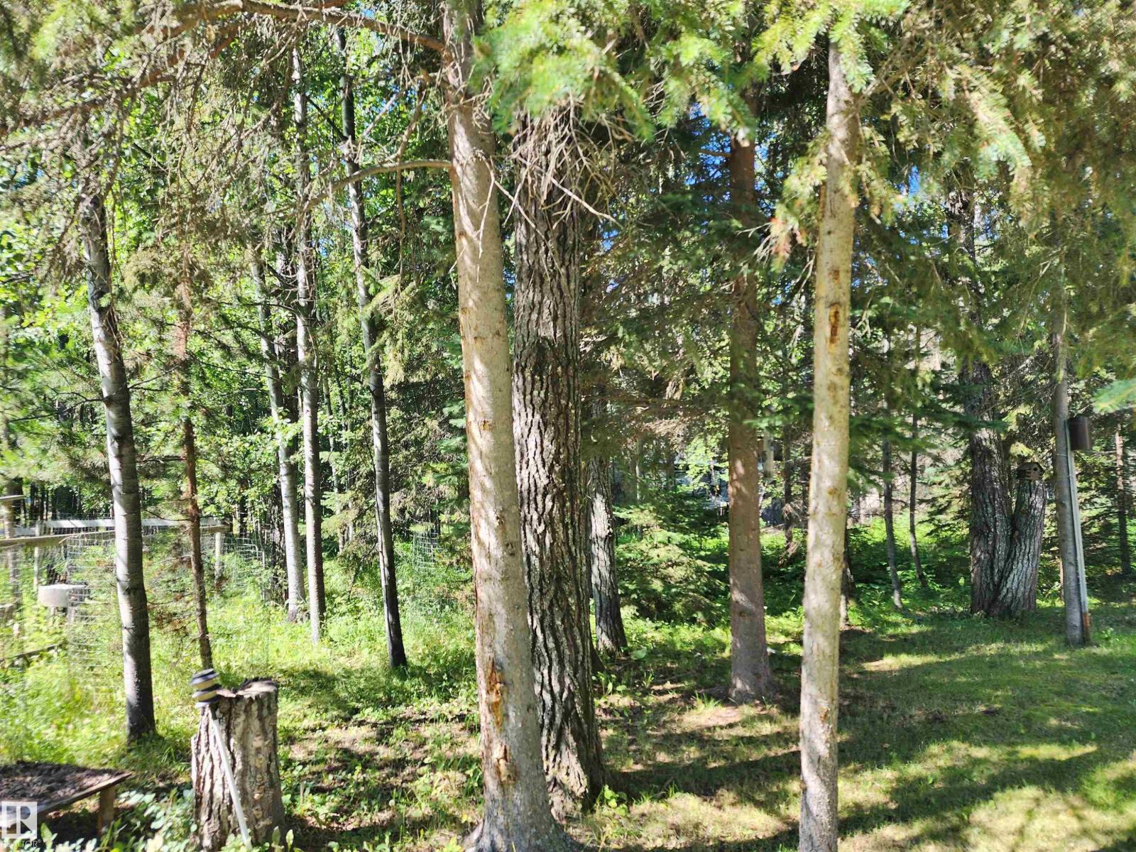 #410 55061 Twp Road 462, Rural Wetaskiwin County, Alberta  T0C 0T0 - Photo 34 - E4451659