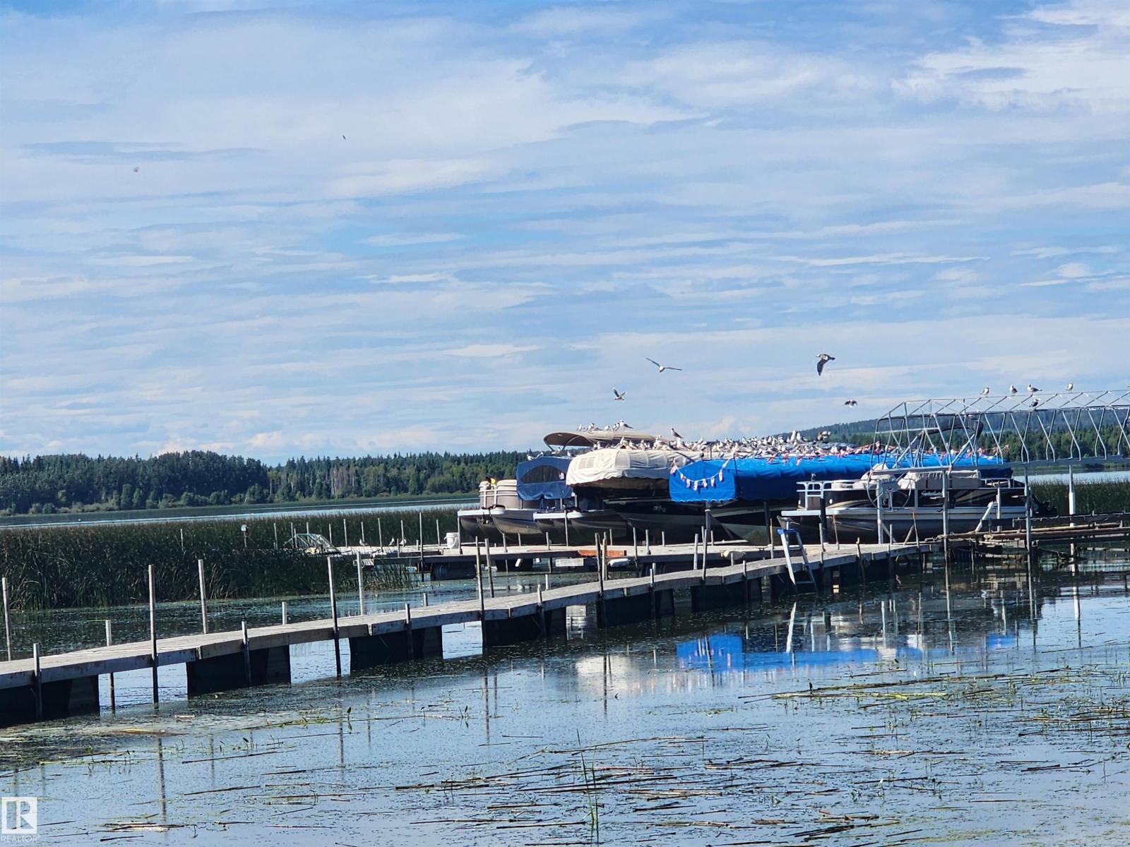 #410 55061 Twp Road 462, Rural Wetaskiwin County, Alberta  T0C 0T0 - Photo 41 - E4451659