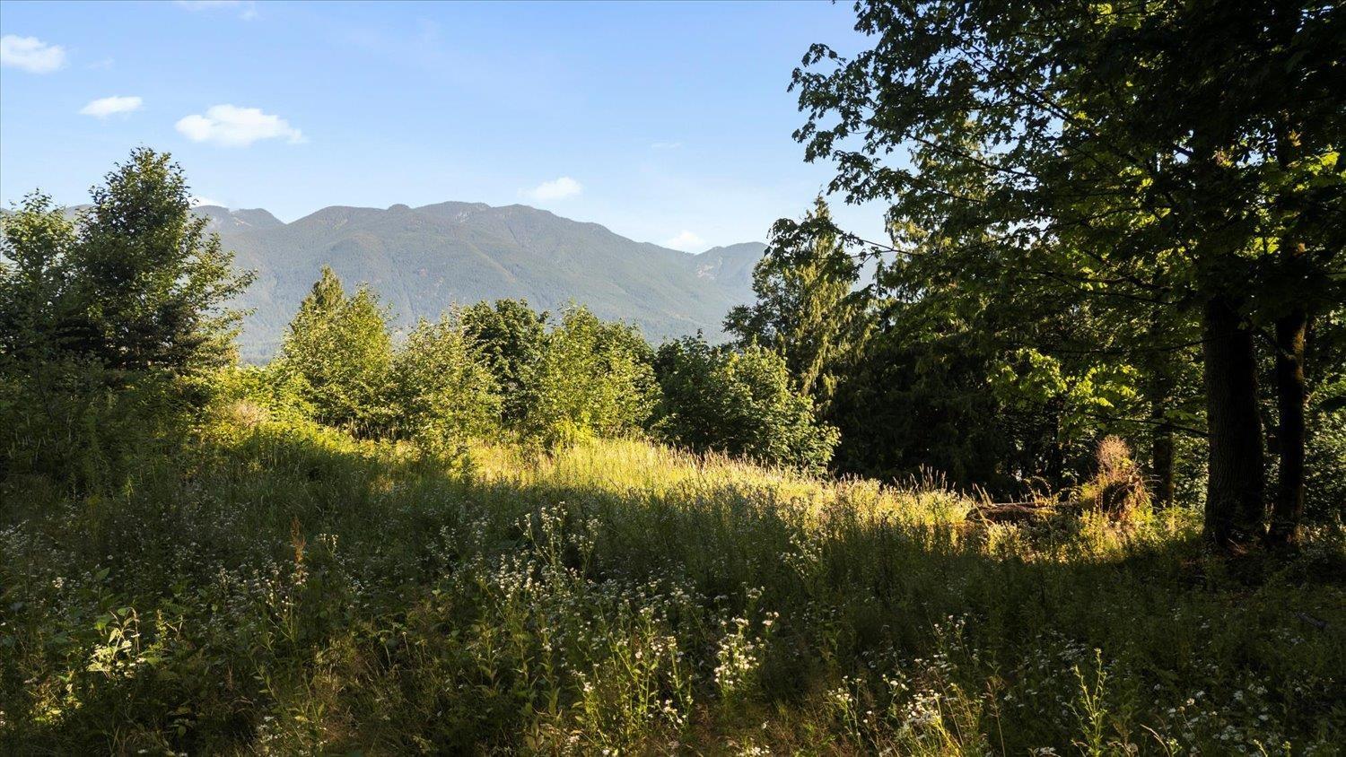 43590 Chilliwack Mountain Road, Chilliwack Mountain, Chilliwack, British Columbia  V2R 4A1 - Photo 11 - R3028555